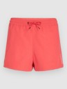 O'Neill Essentials 12″ Boardshorts
