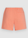 O'Neill Essentials Script Shorts