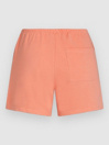 O'Neill Essentials Script Shorts