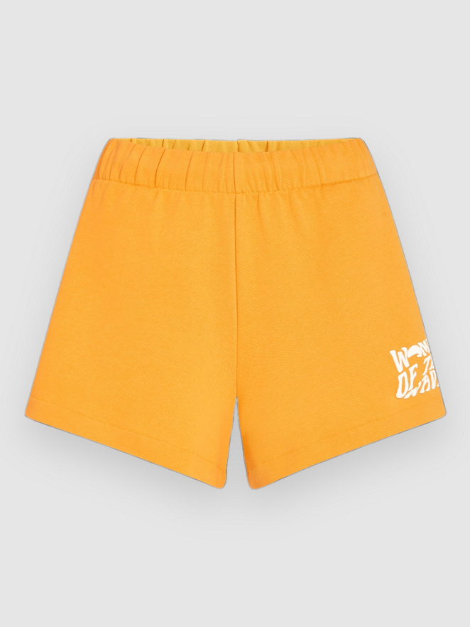 O'Neill Of The Wave Shorts