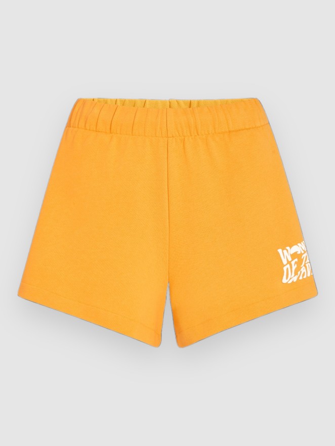 O'Neill Of The Wave Shorts