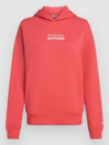 O'Neill The Future Surf Society Felpa con Cappuccio