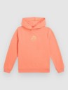 O'Neill Back Print Kids Hoodie