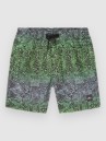 O'Neill Cali 14″ Kids Boardshorts
