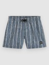 O'Neill Cali 14″ Kids Boardshorts