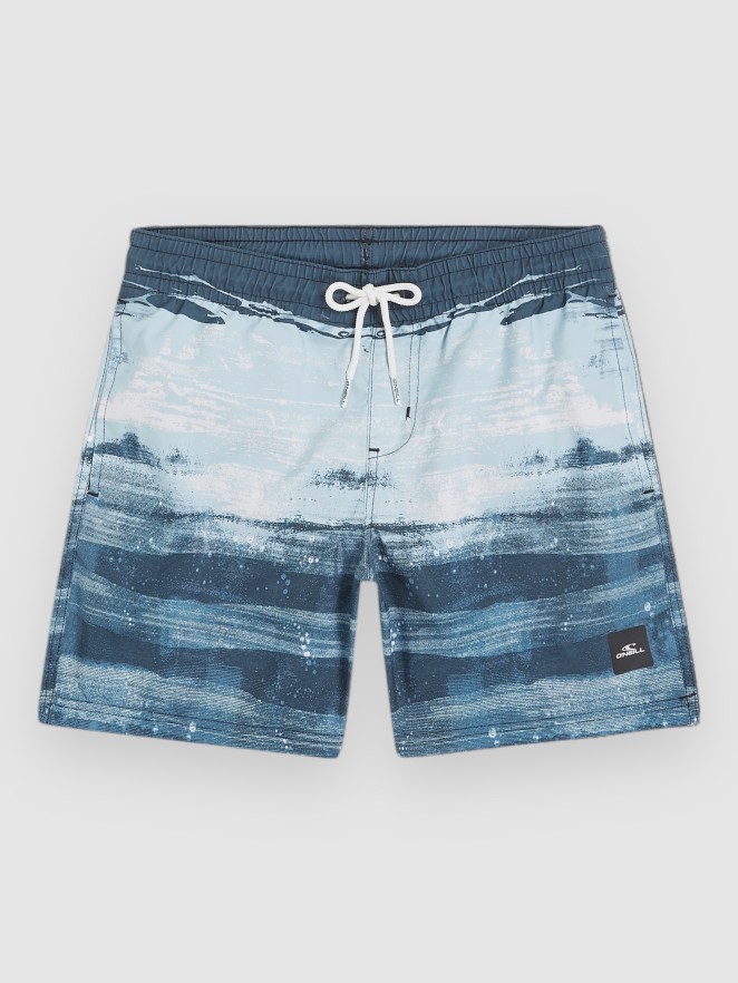 O'Neill Cali Gradient 14″ Kids Boardshorts