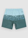 O'Neill Cali Stripe 14″ Kids Boardshorts