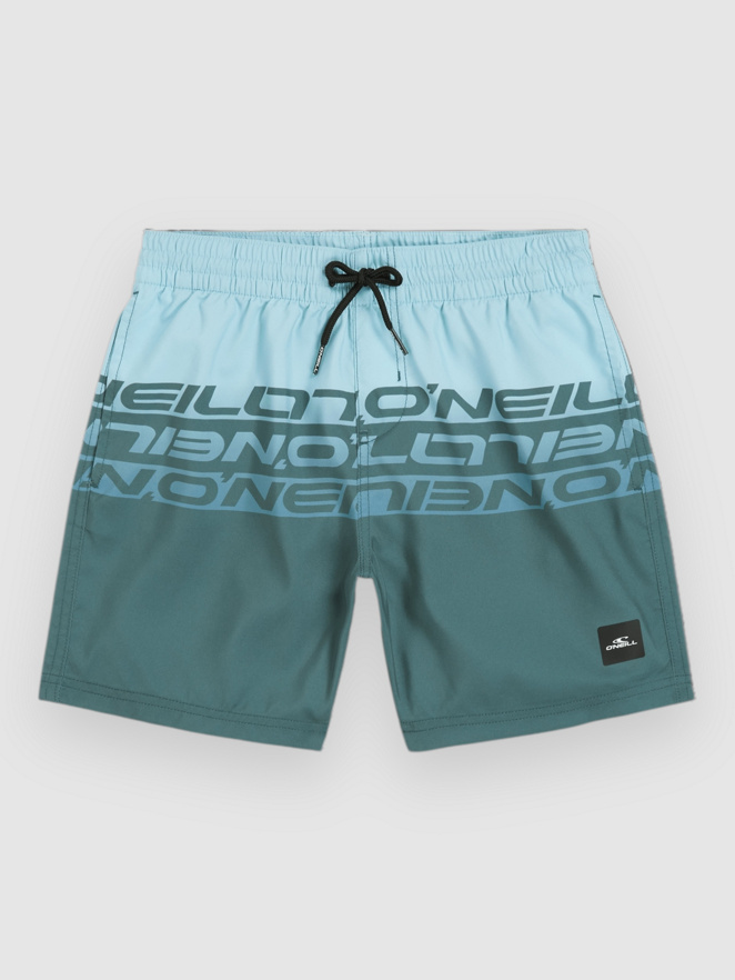 O'Neill Cali Stripe 14″ Kids Boardshorts