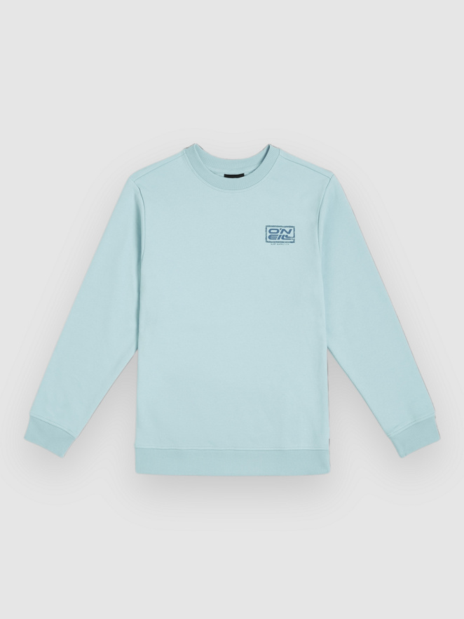O'Neill Logo Kids Sweat