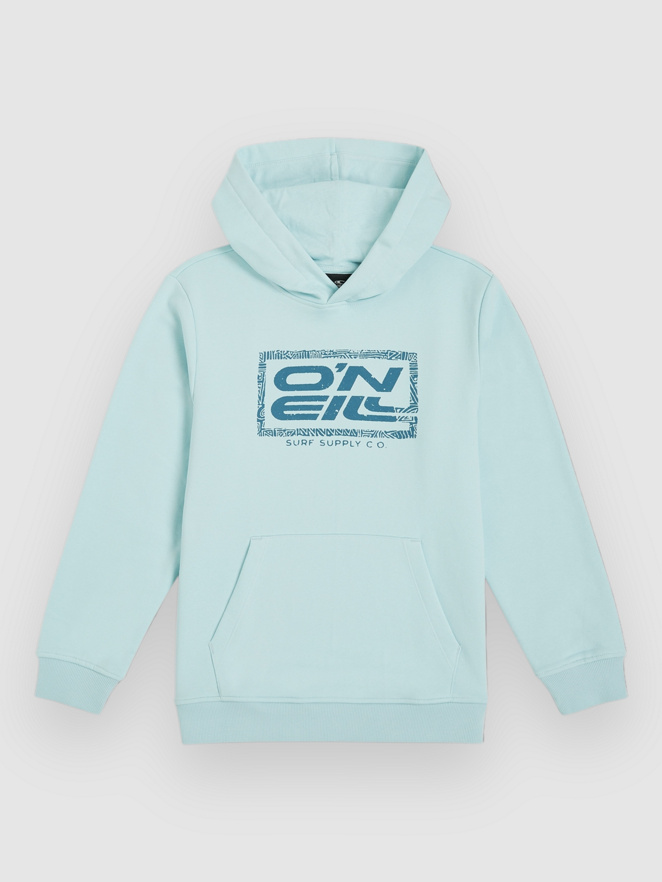 O'Neill Logo Kids Sweat à capuche