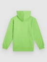 O'Neill Logo Kids Hoodie