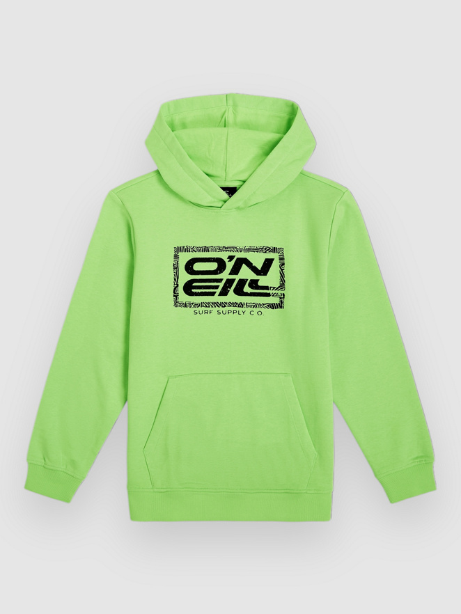 O'Neill Logo Kids Sweat à capuche