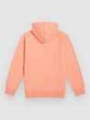 O'Neill Logo Kids Hoodie