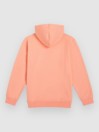 O'Neill Logo Kids Hoodie