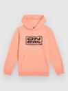 O'Neill Logo Kids Hoodie