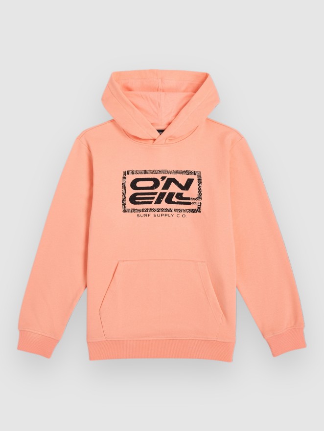 O'Neill Logo Kids Hoodie