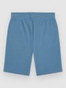 O'Neill Logo Kids Shorts