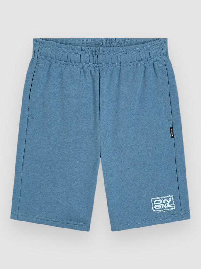 O'Neill Logo Kids Shorts