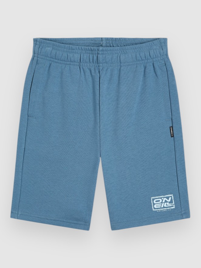 O'Neill Logo Kids Shorts