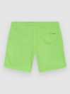 O'Neill Vert 14″ Kids Boardshorts