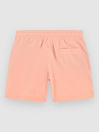 O'Neill Vert 14″ Kids Boardshorts