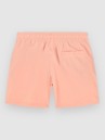 O'Neill Vert 14″ Kids Boardshorts