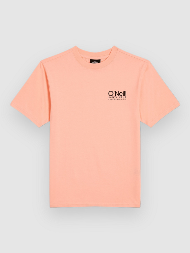 O'Neill Original Cali Logo Kids Camiseta
