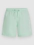 mildrew mint
