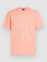 coral pop