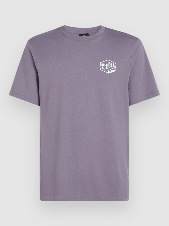 O'Neill Box Logo T-Shirt