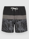 O'Neill Cali Block 15'' Boardshorts