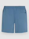 O'Neill Cali Block 15'' Boardshorts