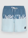 O'Neill Cali Block 15'' Boardshorts