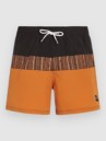 O'Neill Cali Block 15'' Boardshorts