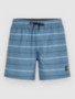 blue o/neill stripe
