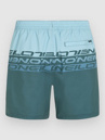 O'Neill Cali Stripe 16'' Boardshorts