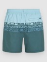 O'Neill Cali Stripe 16'' Boardshorts