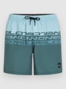 O'Neill Cali Stripe 16'' Boardshorts