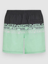O'Neill Cali Stripe 16'' Boardshorts