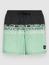 O'Neill Cali Stripe 16'' Boardshorts
