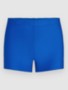 victoria blue