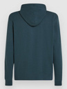 O'Neill Logo Hoodie