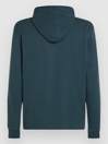 O'Neill Logo Hoodie