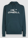 O'Neill Logo Hoodie