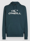 O'Neill Logo Hoodie