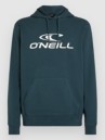 O'Neill Logo Hoodie