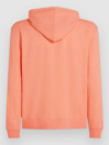 O'Neill Logo Hoodie