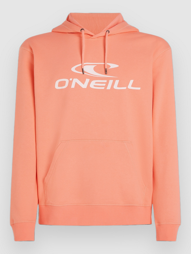 O'Neill Logo Hoodie