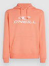 O'Neill Logo Hoodie