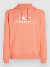 O'Neill Logo Hoodie